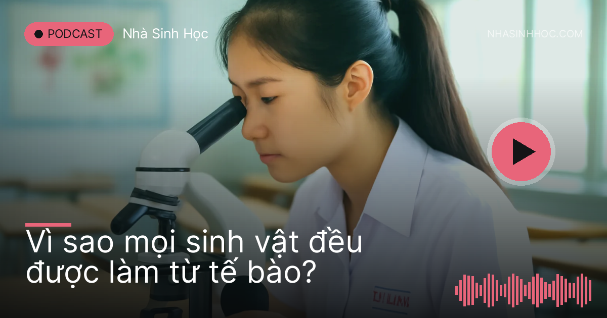 Nữ sinh soi lát vỏ hành dưới kính hiển vi trong phòng thí nghiệm trường
