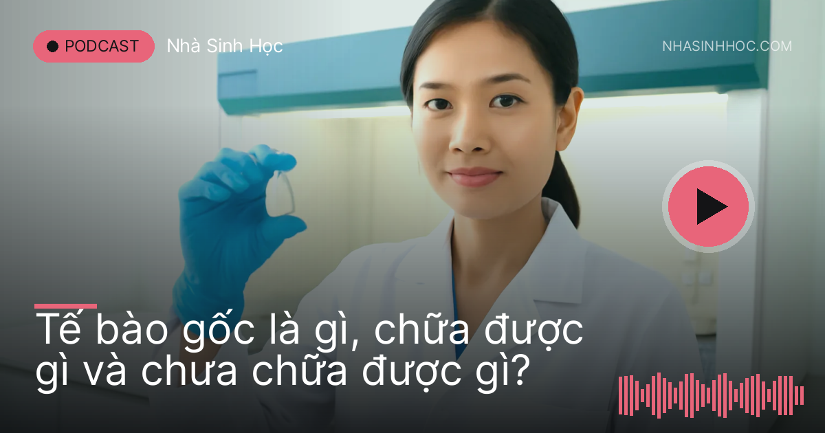 Kỹ thuật viên đeo găng xanh cầm ống nghiệm nhỏ trước tủ an toàn sinh học
