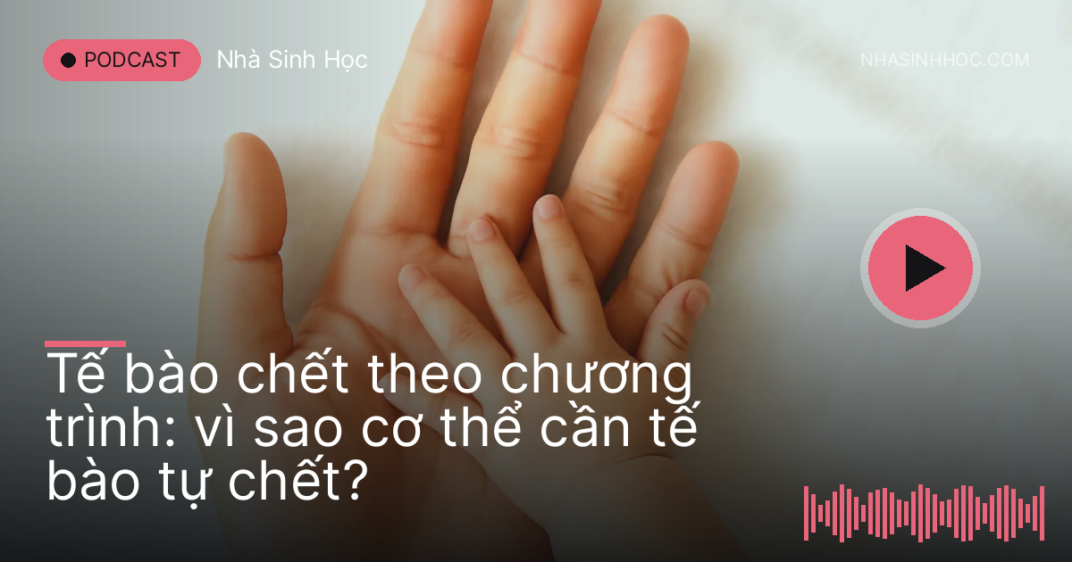 Bàn tay em bé xoè năm ngón đặt trên bàn tay mẹ
