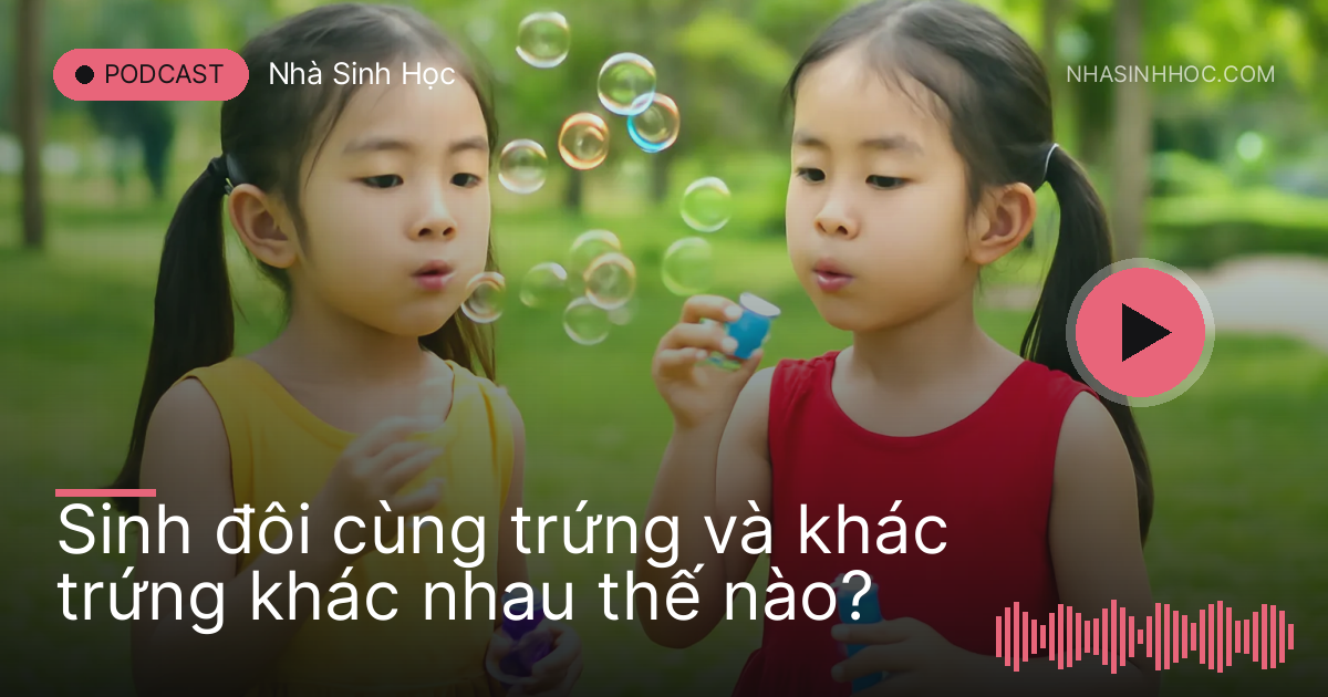 Hai bé gái sinh đôi mặc áo khác màu thổi bong bóng ở công viên