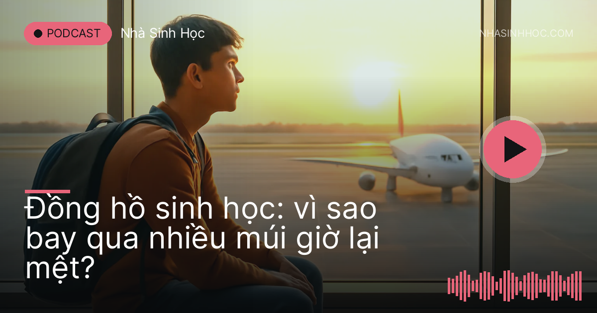 Hành khách ngồi cạnh cửa kính sân bay nhìn máy bay lúc bình minh